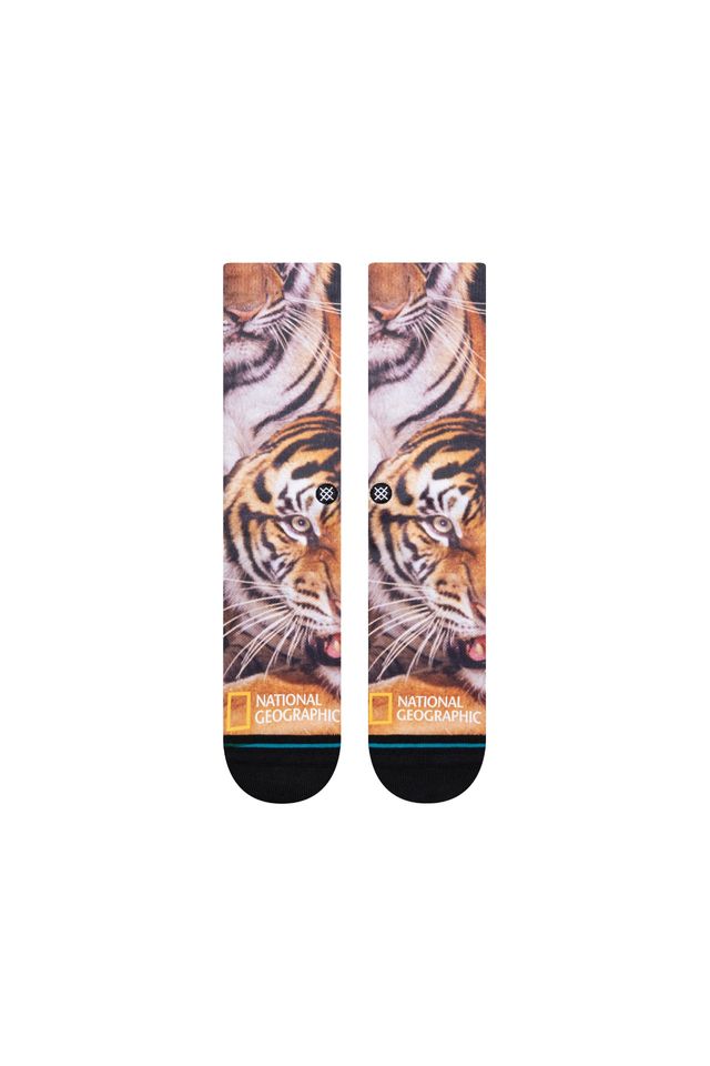 Meia-Stance-Two-Tigers