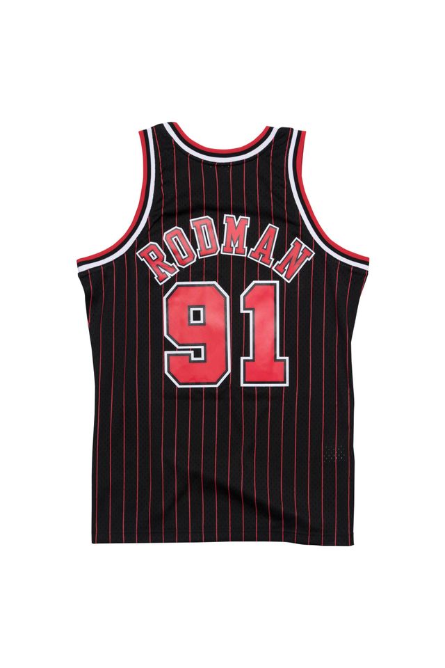 Shop Mitchell & Ness Chicago Bulls Dennis Rodman 1995-1996