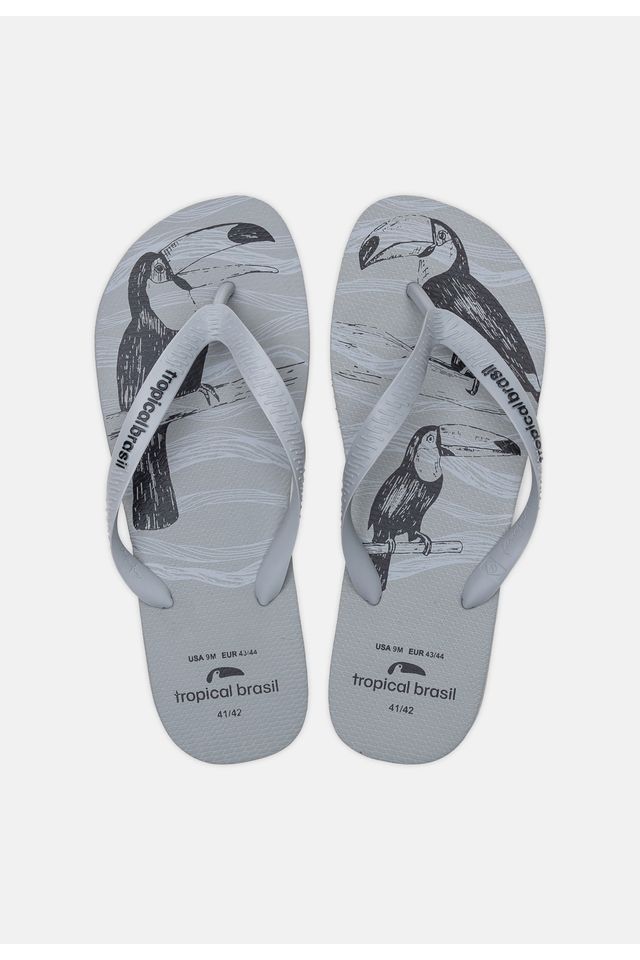 Chinelo-Tropical-Brasil-Estampado-Cinza-Claro
